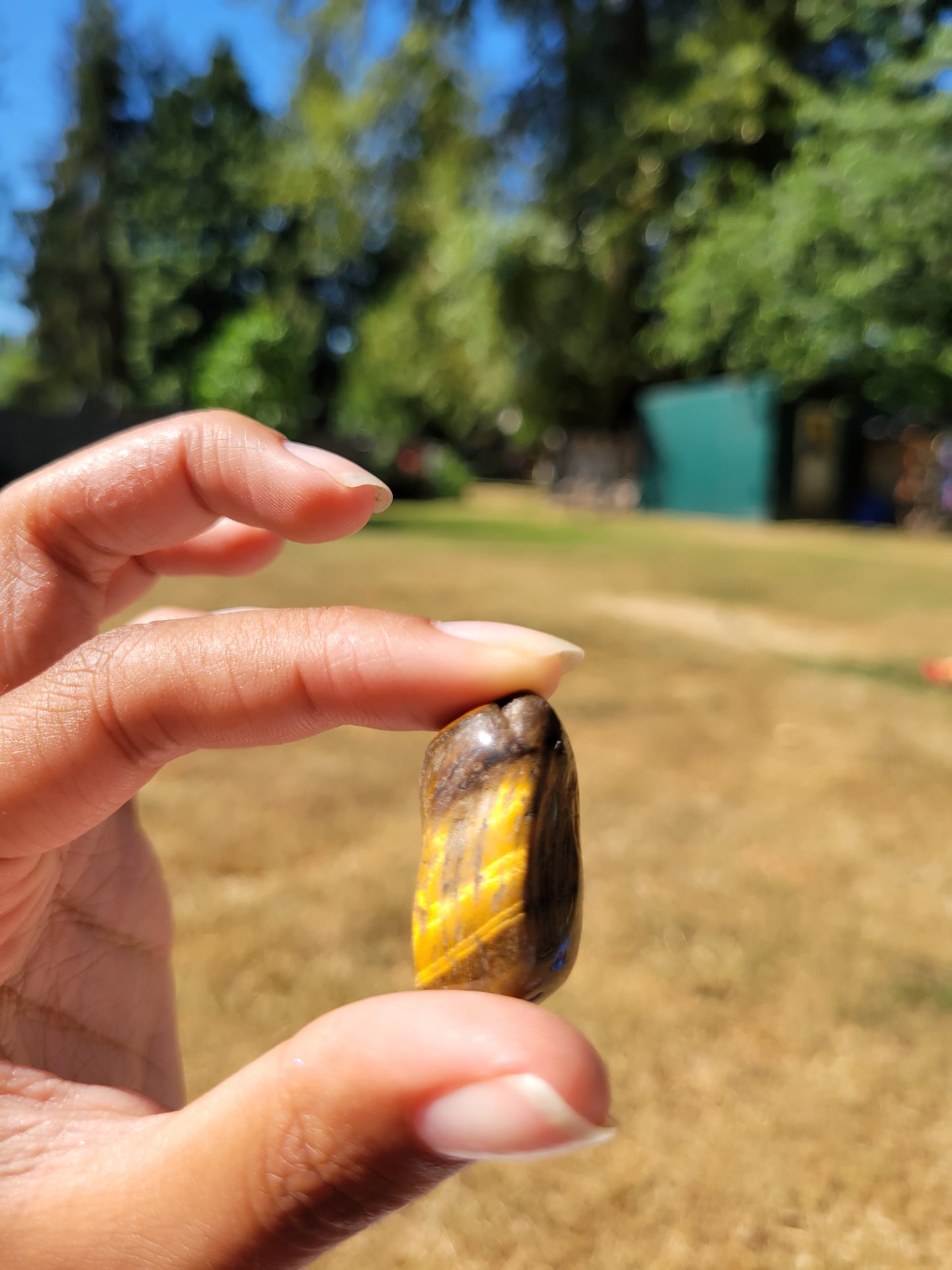 Tiger Eye Tumbles