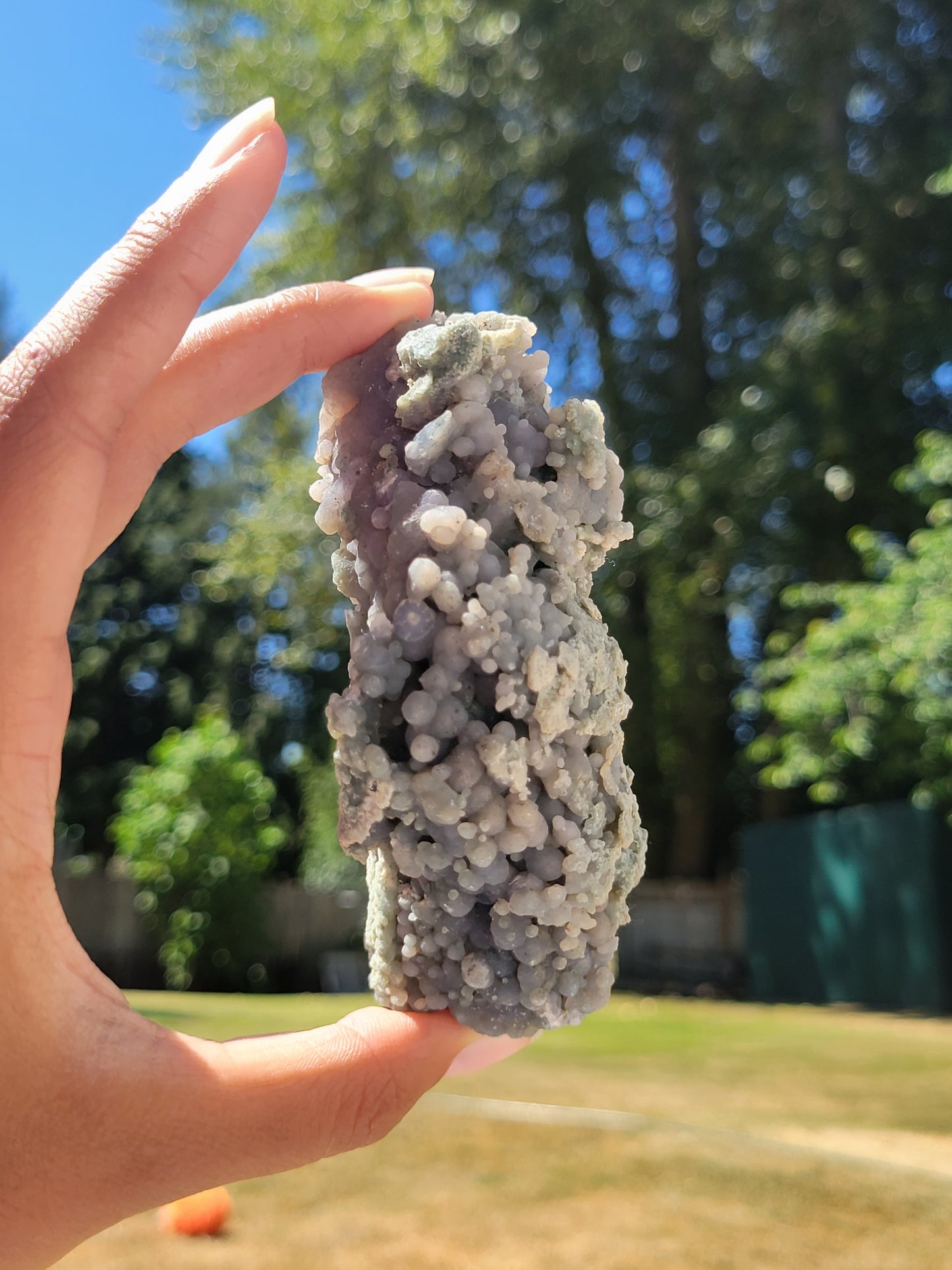 RARE Raw Grape Agate Cluster