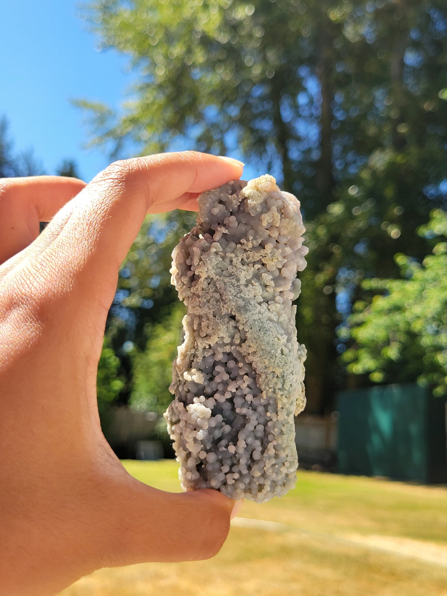 RARE Raw Grape Agate Cluster