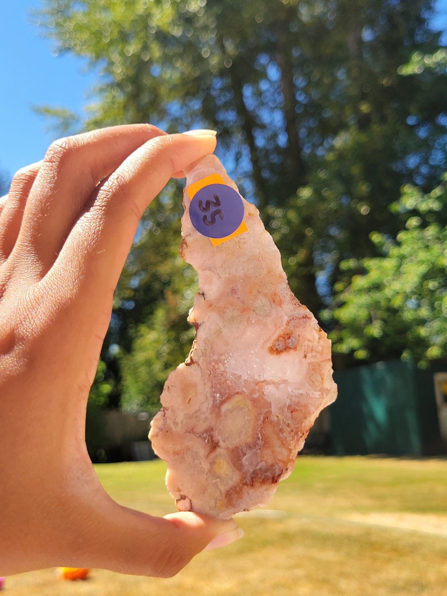 Flower Agate Slab