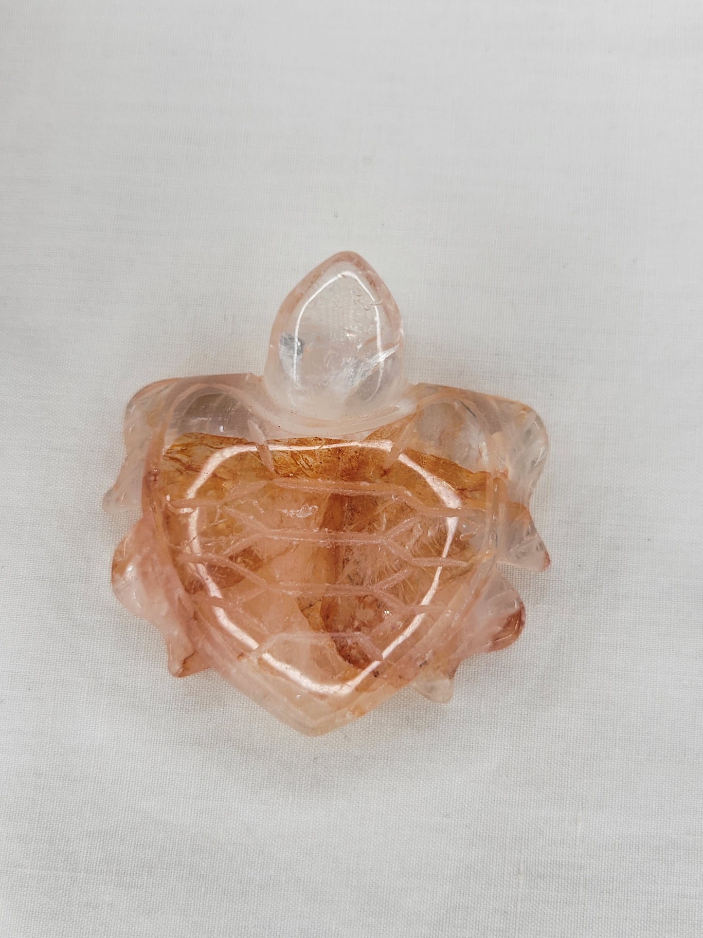 Fire Quartz Turtle