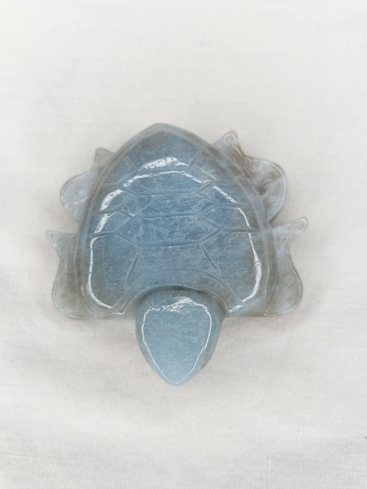 Aquamarine Turtle