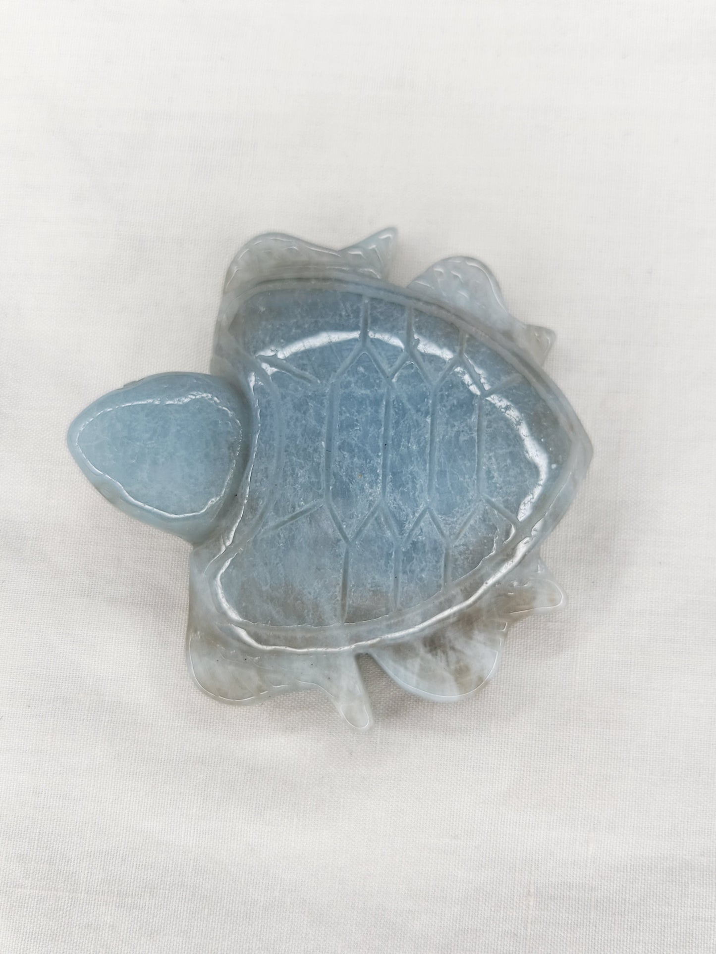 Aquamarine Turtle