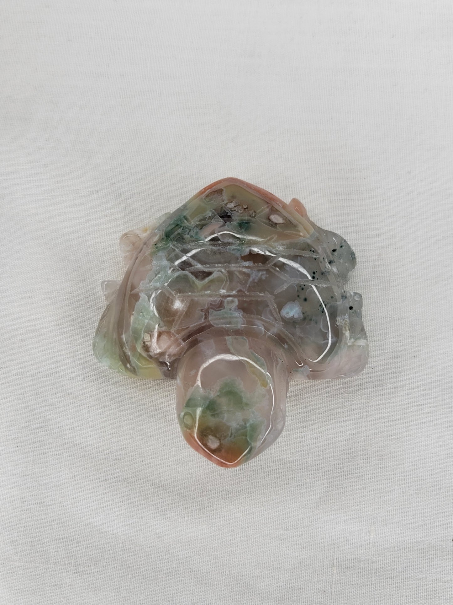 Flower Agate Turtle