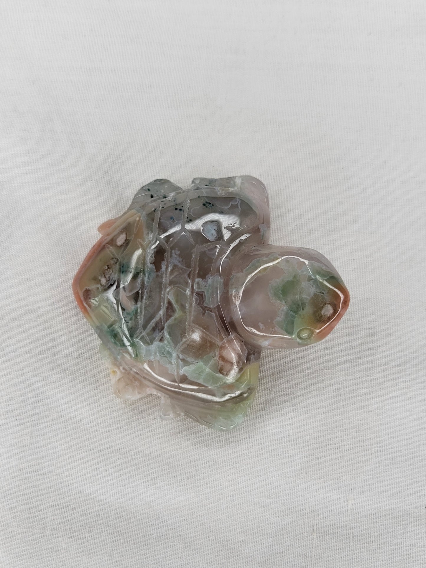 Flower Agate Turtle