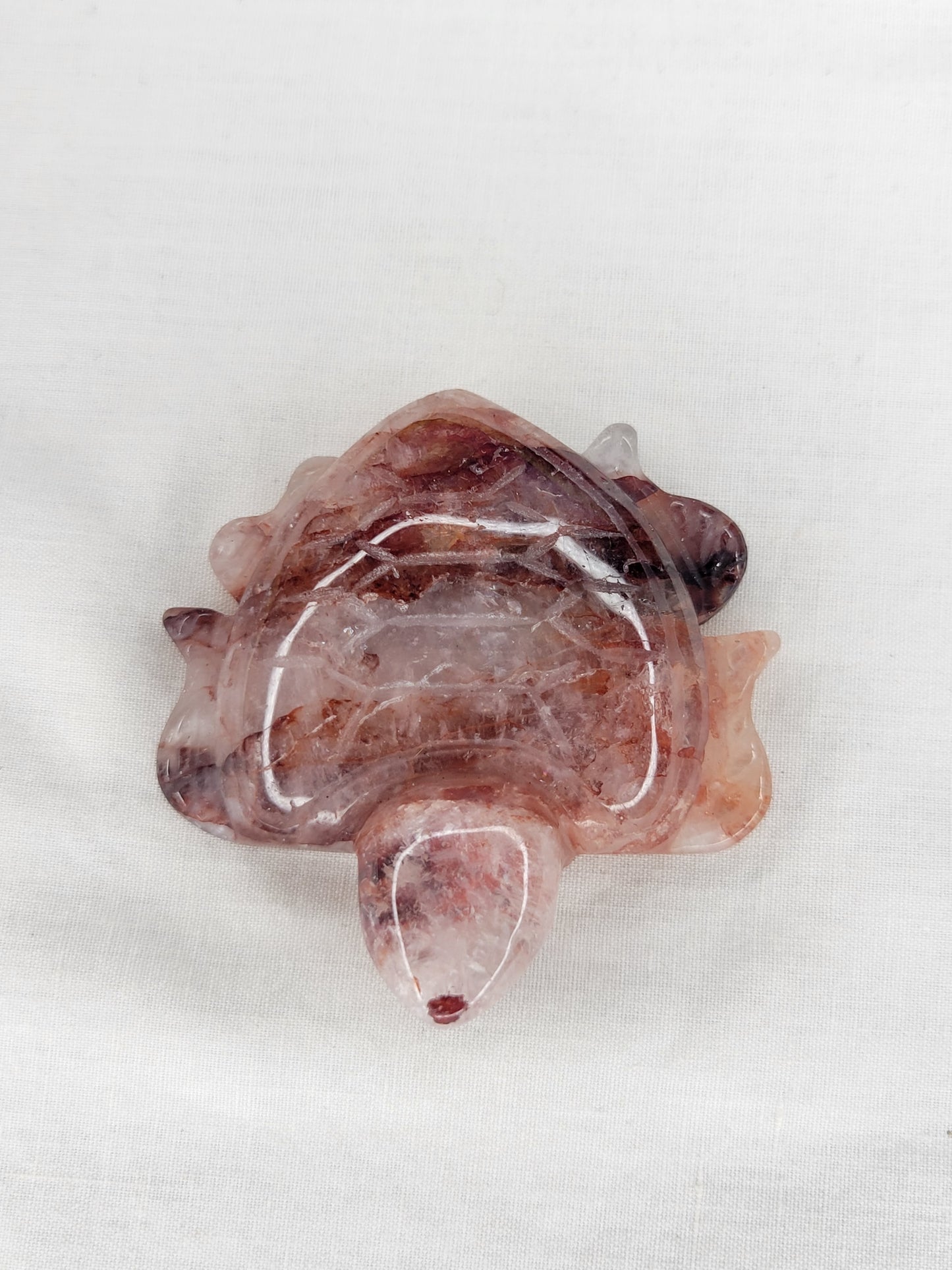 Dark Fire Quartz Turtle