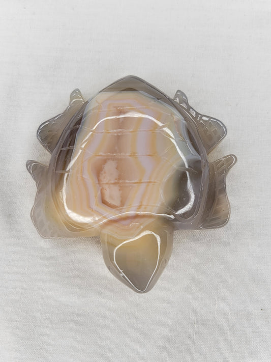 Agate Turtle