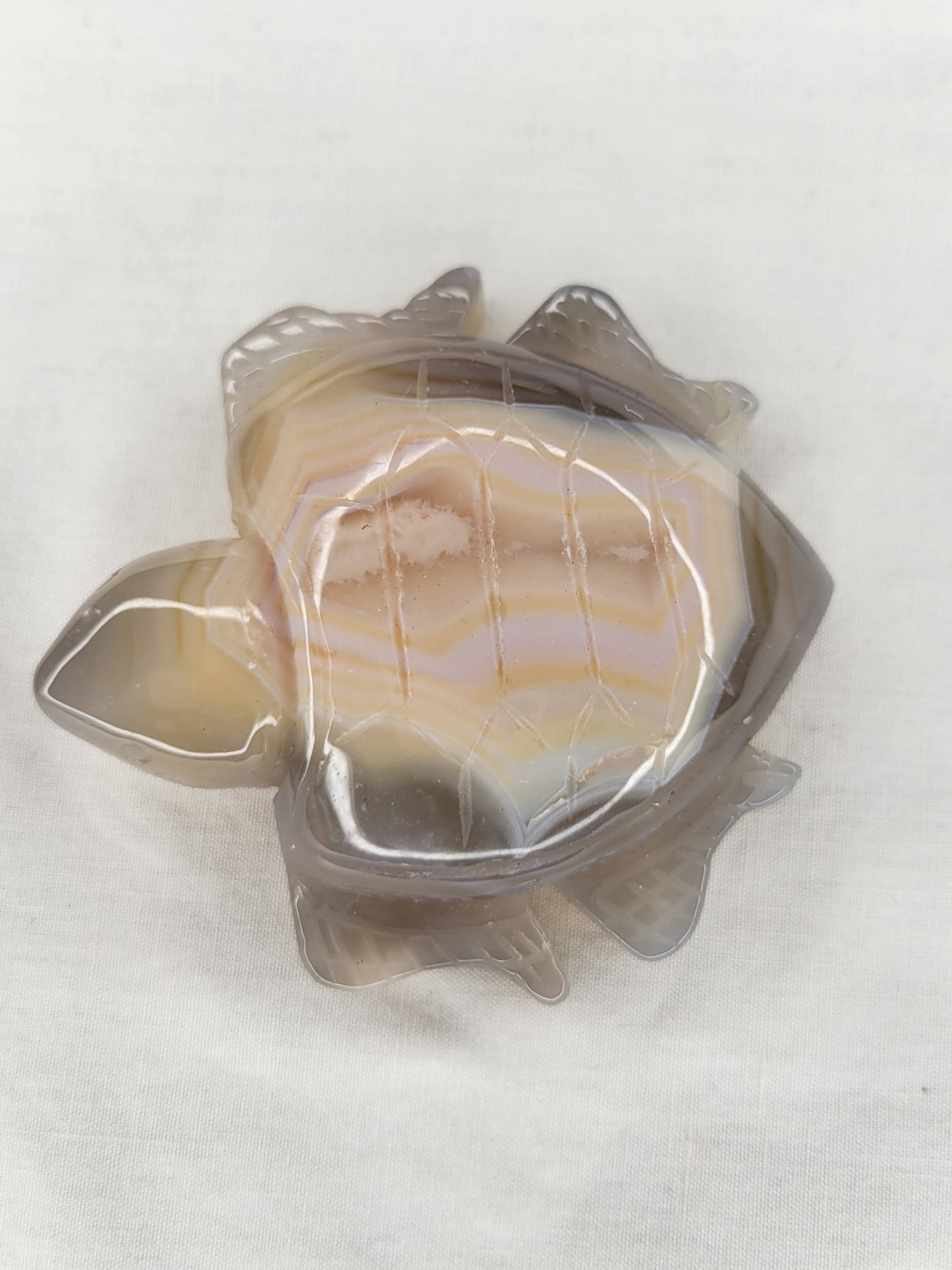 Agate Turtle