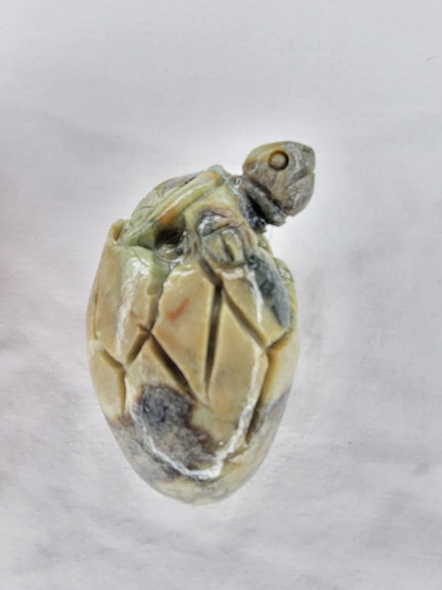 Jade Baby Turtle in Egg