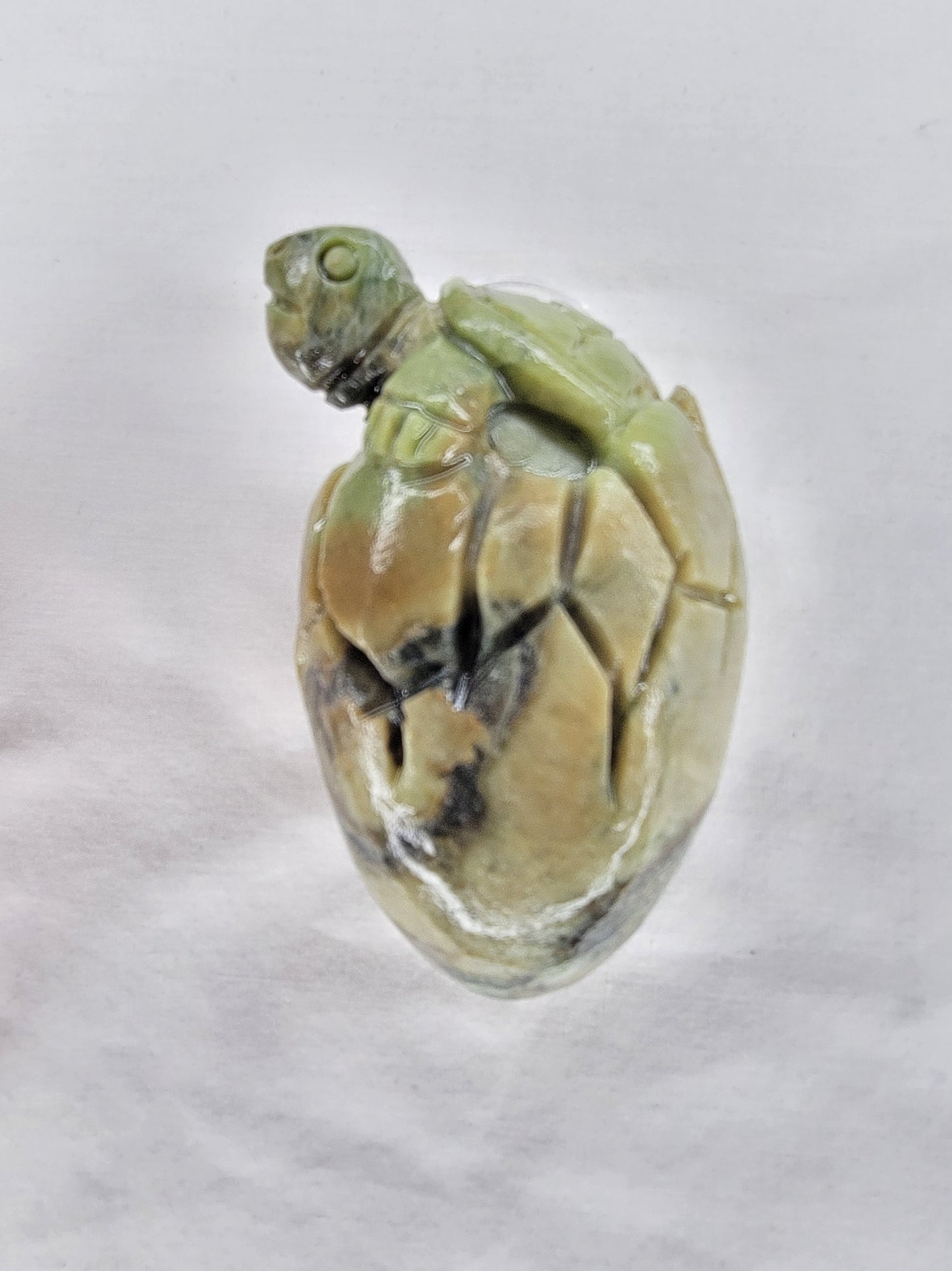 Jade Baby Turtle in Egg