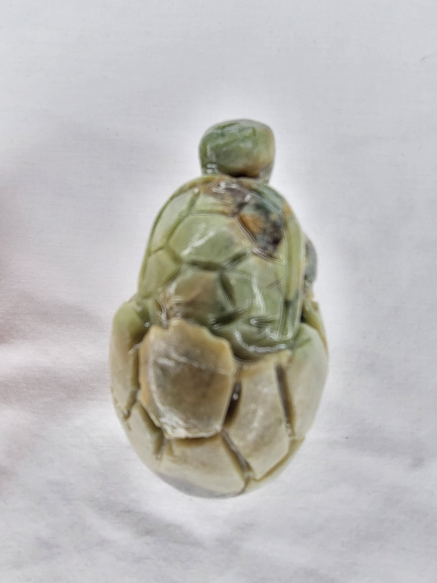 Jade Baby Turtle in Egg