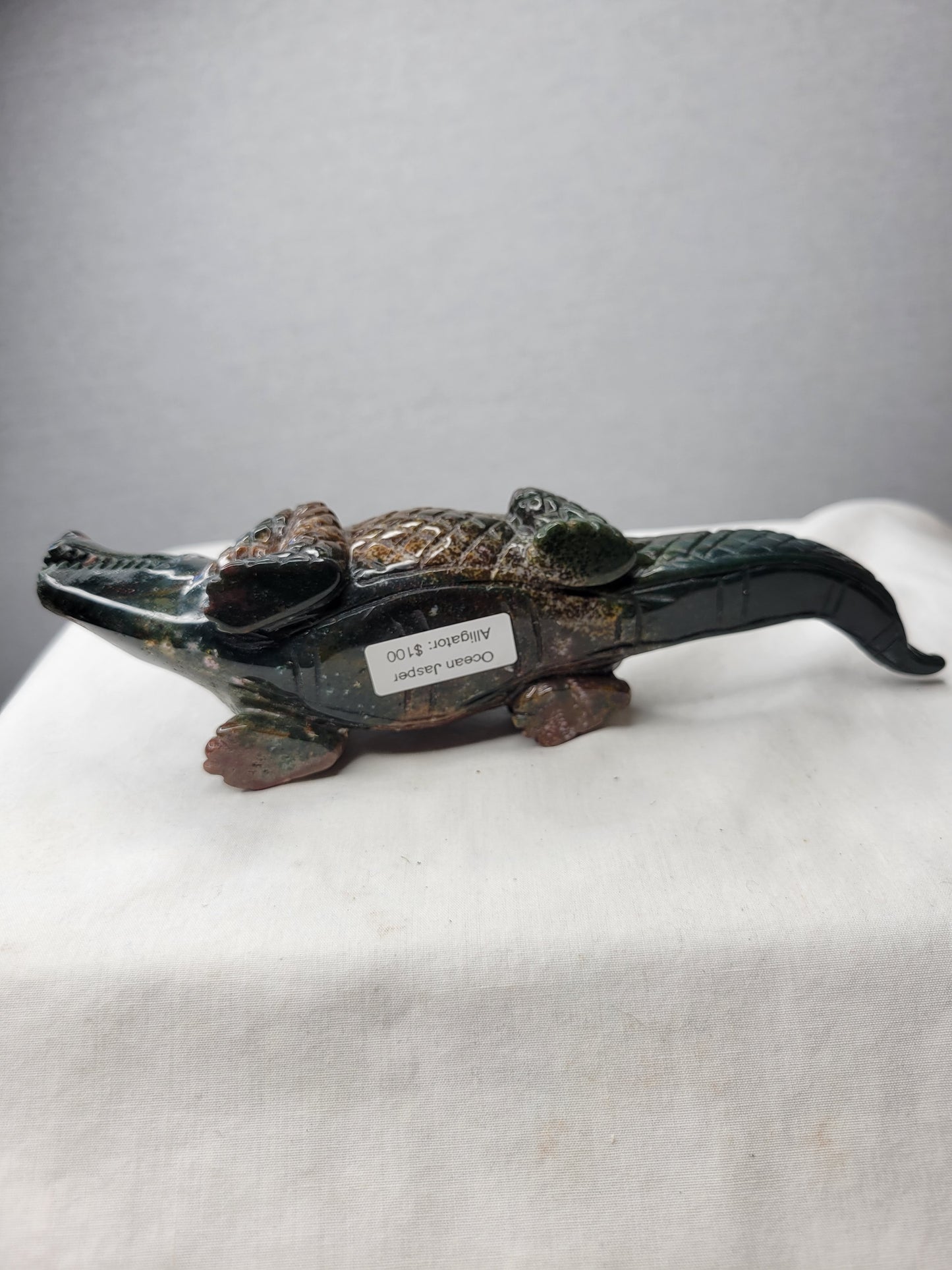 Ocean Jasper Alligator