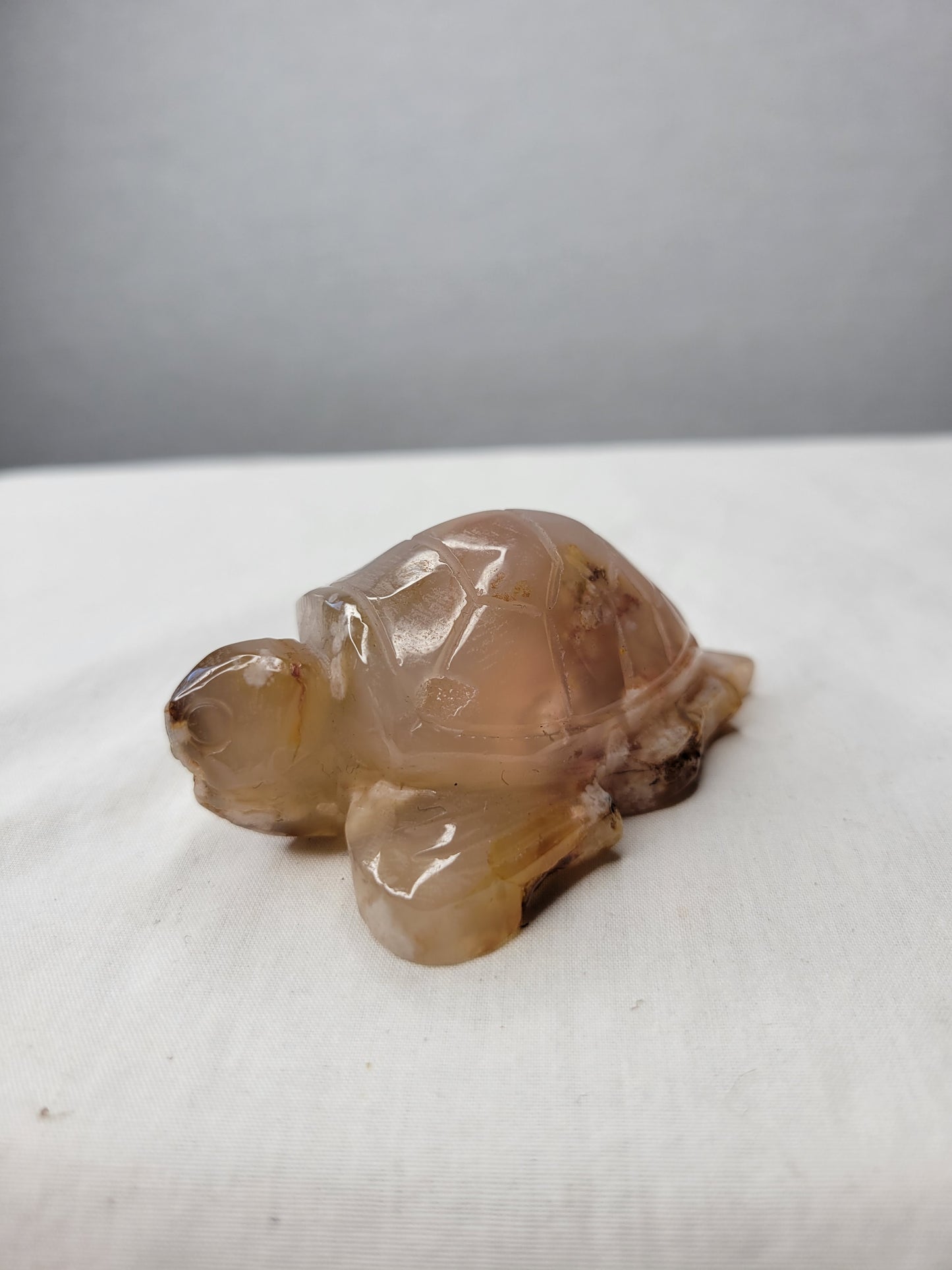 Flower Agate Turtle