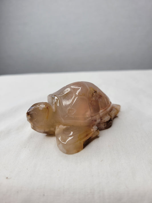 Flower Agate Turtle