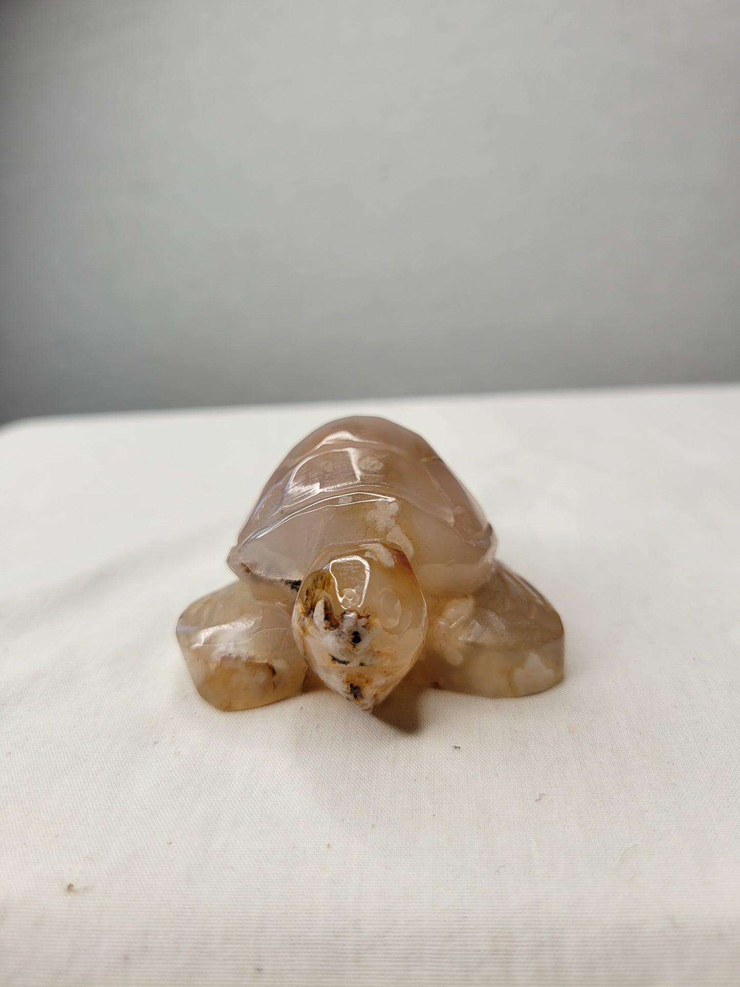 Flower Agate Turtle