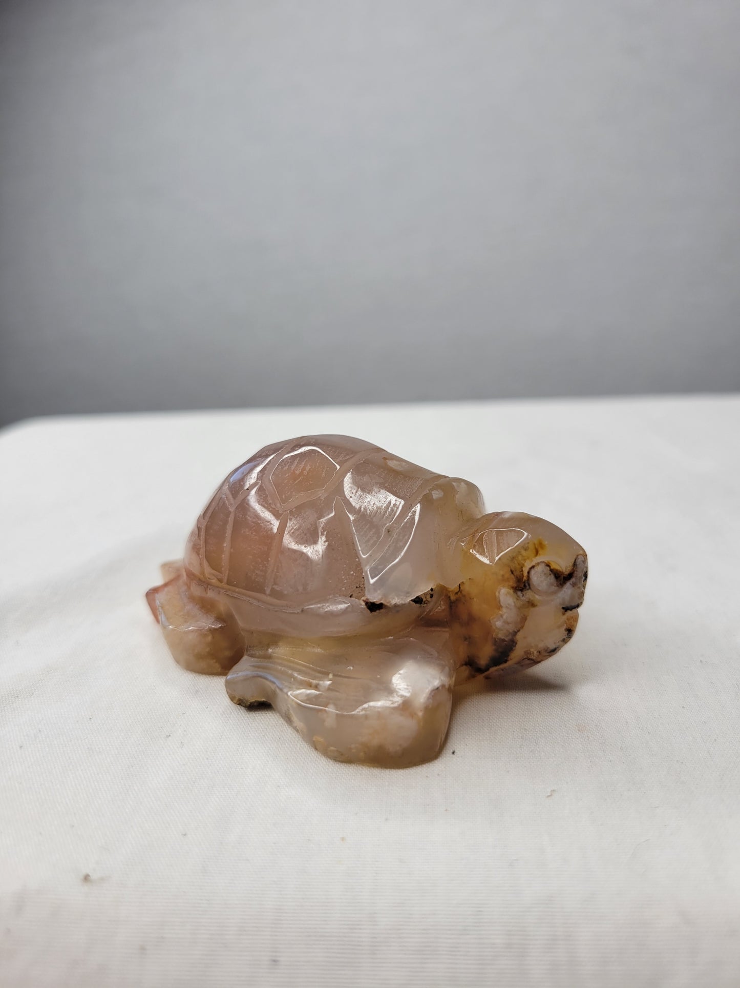 Flower Agate Turtle