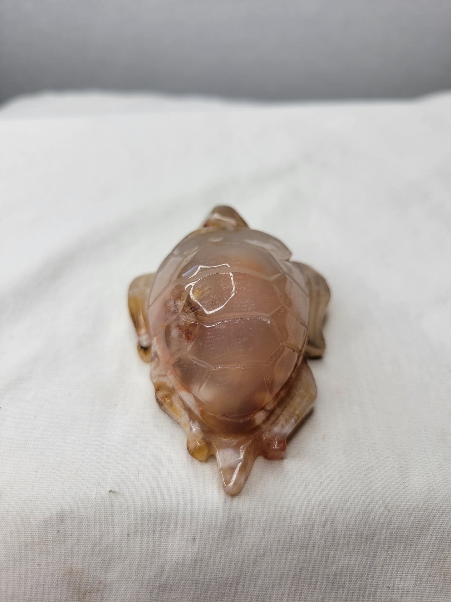 Flower Agate Turtle